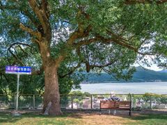 -东钱湖旅游度假区