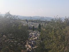 -原山国家森林公园