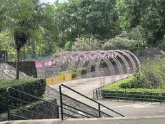 -观澜湖生态运动公社