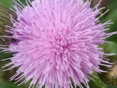 -宜昌富力皇冠假日酒店·咖啡1号西餐厅