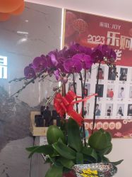-LJOY丽锦造型·烫发染发