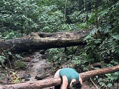 -西双版纳基诺山寨