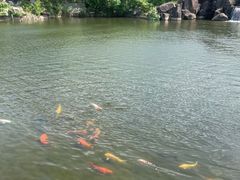 -白马涧龙池景区