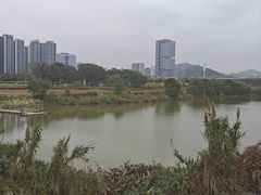 -光明小镇欢乐田园