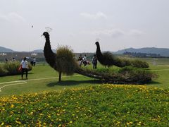 -光明小镇欢乐田园