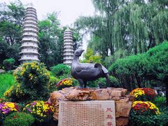-沈阳植物园