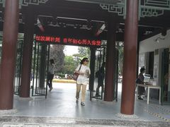 -莲湖公园