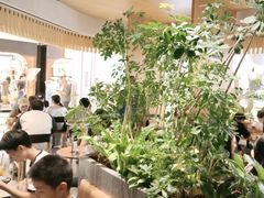 -gaga(深圳福田星河COCO Park店)
