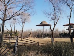 -济南野生动物世界