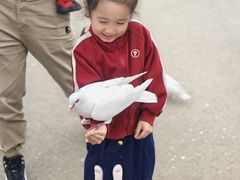 -泉城欧乐堡海洋极地世界