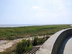 -南汇嘴观海公园