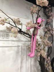 -Ly形象设计