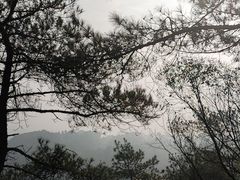 -大金鹰园
