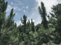-白沙门生态公园