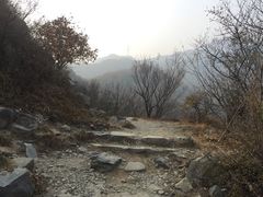 -北京鹫峰国家森林公园