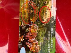 -西双版纳原始森林公园