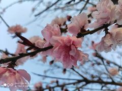 -白水寺森林公园