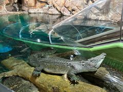 -上海海洋水族馆