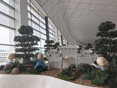 -郑州新郑国际机场-T2航站楼