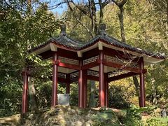 -广州市石门国家森林公园