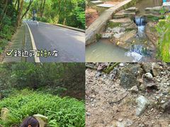 -火炉山森林公园