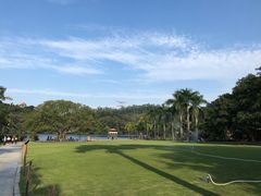 -深圳仙湖植物园