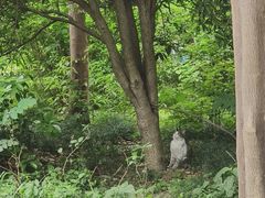 -西湖文化广场