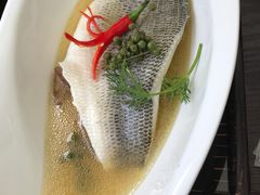 -梧桐