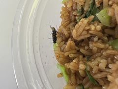 -津品味小吃(大学湾店)