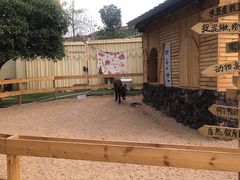 -HERRE·FARM 赫尔露营农场·团建聚会包场