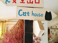 -海边的猫和咖啡馆