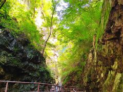 -九龙潭景区