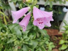 -幸福里时光餐吧