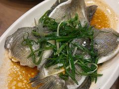 -大唐靓汤江门私房菜(景田店)
