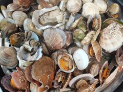 -船梆煮•蒸汽海鲜·炉火烤肉(五四广场店)