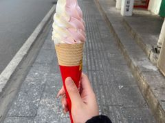 -蜜雪冰城·冰淇淋与茶(长郡中学店)