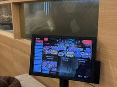 -黄金牧场(明洞总店)