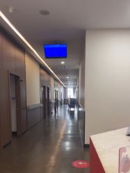 -上海玫瑰医疗美容医院