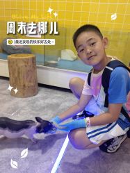 -神奇动物撸宠馆·羊驼·小浣熊·异宠(豫园店)