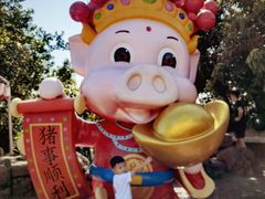 -深圳东部华侨城茵特拉根酒店
