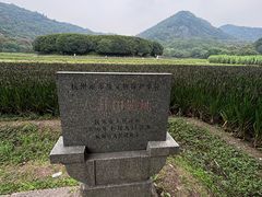 -八卦田遗址公园