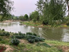 -东郊湿地公园