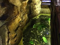 -御池园(顾村公园店)