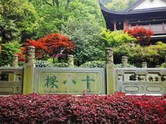 -十八棵（老龙井）御茶园(老龙井店)