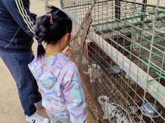 -草根堂农场