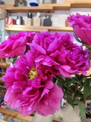 -今日陶艺(富力广场店)