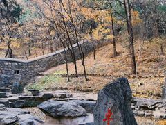 -香山公园