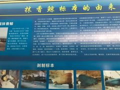 -上海海洋大学鱼文化博物馆(军工路校区)