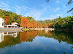 -深圳仙湖植物园
