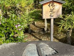 -天龙寺